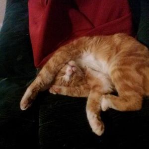 Meet your Posher, Patricia